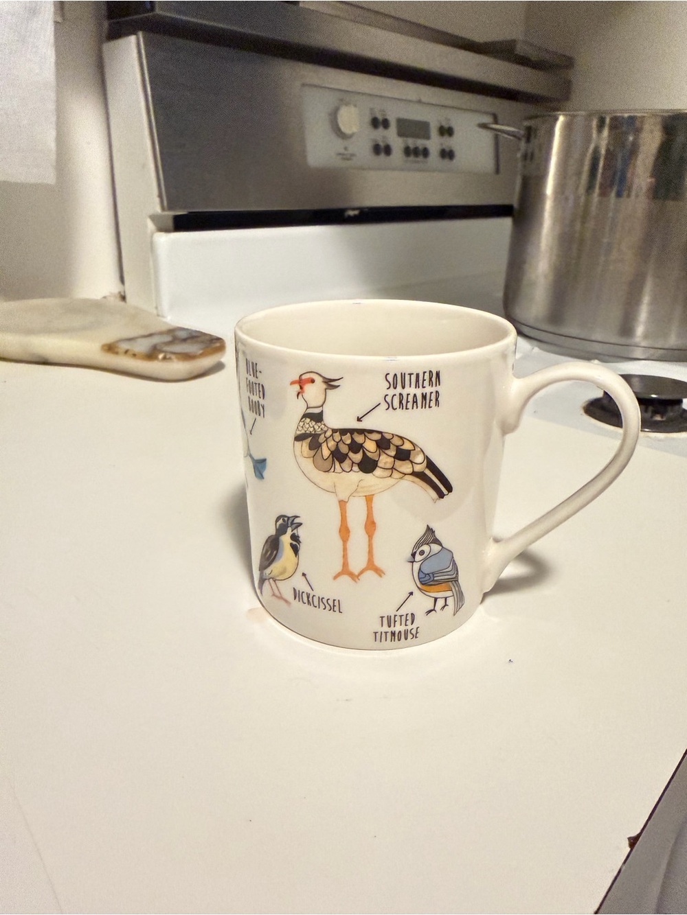 White Bird-Illustrated Ceramic Mug - Pets Bird (set of 2)